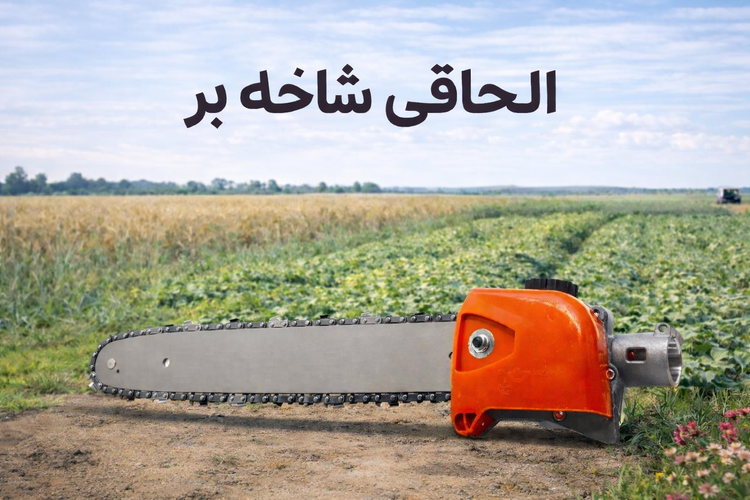 الحاقی شاخه بر